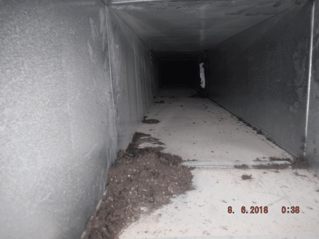 Why do I need to clean my air ducts?