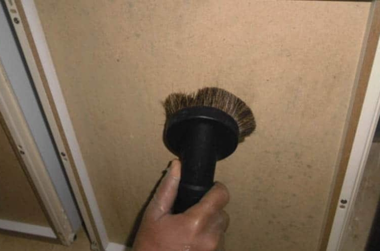 Mold Cleaning Services