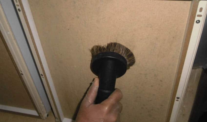 Mold cleaning services in Dubai and Abu Dhabi