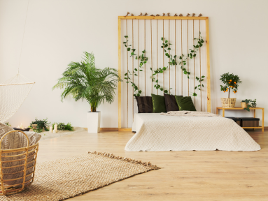 Green Living Indoors: The Best Houseplants for Improved Air Quality