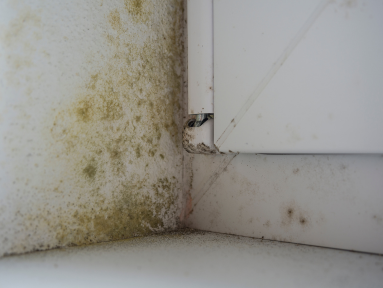 How Does Hidden Mold in Ducts Affect Your Health? Dubai Remediation Essentials